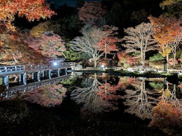国営昭和記念公園 秋の夜散歩に投稿された画像（2025/11/20）