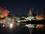 国営昭和記念公園 秋の夜散歩に投稿された画像（2025/11/20）