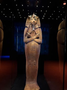 ACN ラムセス大王展 ファラオたちの黄金に投稿された画像（2025/11/20）