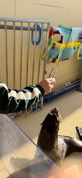 新江ノ島水族館に投稿された画像（2025/11/20）