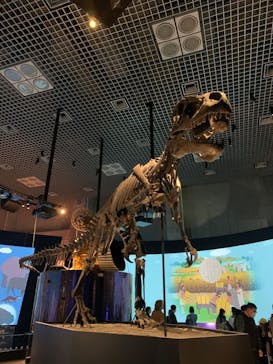 国立科学博物館に投稿された画像（2025/11/20）