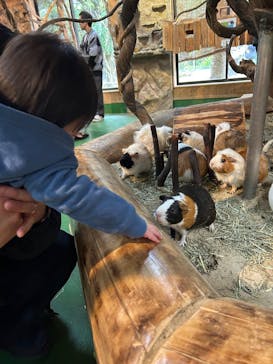 長崎バイオパークに投稿された画像（2025/11/20）