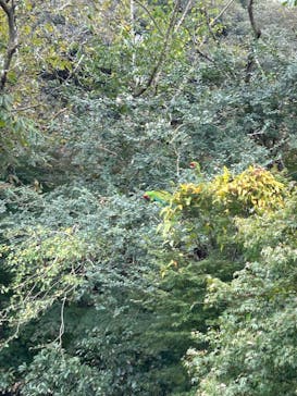 長崎バイオパークに投稿された画像（2025/11/20）