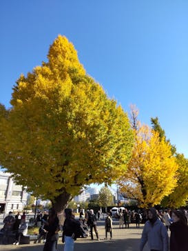 オルセー美術館所蔵 印象派―室内をめぐる物語に投稿された画像（2025/11/20）