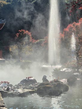 勝尾寺に投稿された画像（2025/11/20）