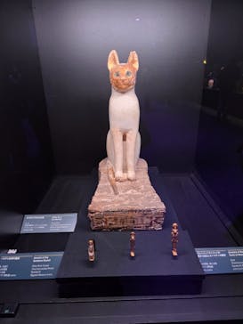 ACN ラムセス大王展 ファラオたちの黄金に投稿された画像（2025/11/20）