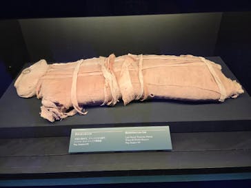 ACN ラムセス大王展 ファラオたちの黄金に投稿された画像（2025/11/20）