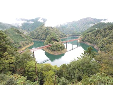 大井川鐵道株式会社に投稿された画像（2025/11/20）