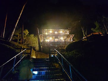 大井川鐵道株式会社に投稿された画像（2025/11/20）