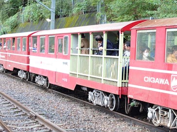 大井川鐵道株式会社に投稿された画像（2025/11/20）