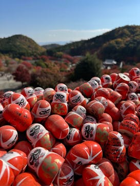 勝尾寺に投稿された画像（2025/11/20）