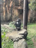 恩賜上野動物園に投稿された画像（2025/11/20）