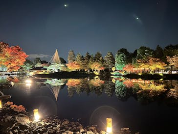 国営昭和記念公園 秋の夜散歩に投稿された画像（2025/11/20）