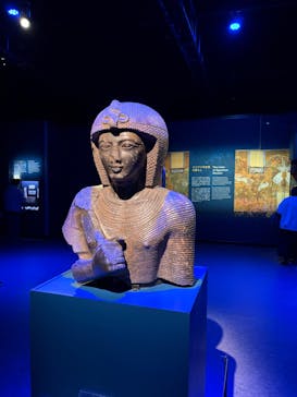 ACN ラムセス大王展 ファラオたちの黄金に投稿された画像（2025/11/20）