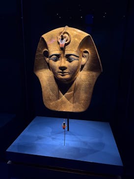 ACN ラムセス大王展 ファラオたちの黄金に投稿された画像（2025/11/20）