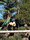 恩賜上野動物園に投稿された画像（2025/11/20）