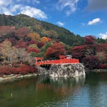 勝尾寺に投稿された画像（2025/11/20）