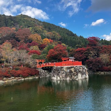 勝尾寺に投稿された画像（2025/11/20）