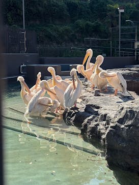 多摩動物公園に投稿された画像（2025/11/20）