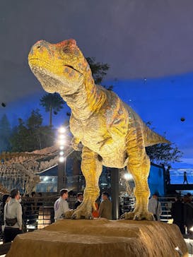 福井県立恐竜博物館に投稿された画像（2025/11/20）