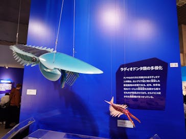 特別展「大絶滅展―生命史のビッグファイブ」に投稿された画像（2025/11/20）