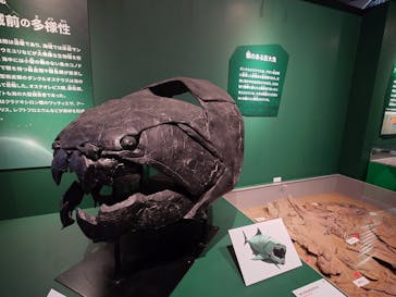 特別展「大絶滅展―生命史のビッグファイブ」に投稿された画像（2025/11/20）