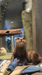 AQUARIUM × ART　atoaに投稿された画像（2025/11/20）