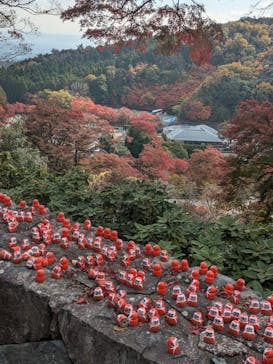 勝尾寺に投稿された画像（2025/11/20）