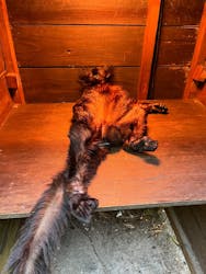 長崎バイオパークに投稿された画像（2025/11/20）