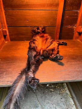 長崎バイオパークに投稿された画像（2025/11/20）