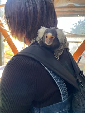 長崎バイオパークに投稿された画像（2025/11/20）