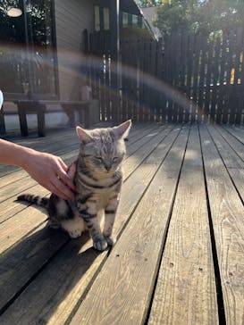 長崎バイオパークに投稿された画像（2025/11/20）