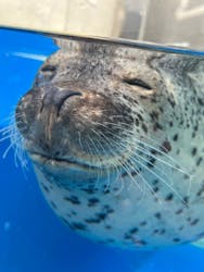 島根県立 しまね海洋館に投稿された画像（2025/11/20）