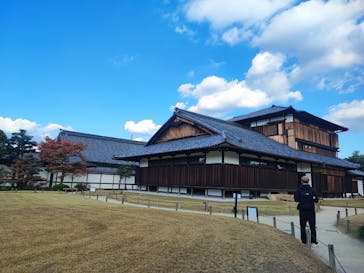 元離宮二条城に投稿された画像（2025/11/20）