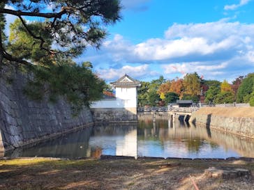 元離宮二条城に投稿された画像（2025/11/20）