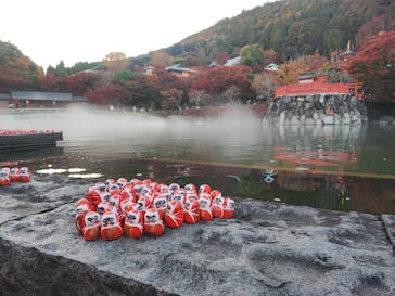 勝尾寺に投稿された画像（2025/11/20）