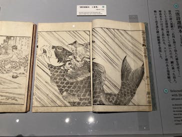 HOKUSAI－ぜんぶ、北斎のしわざでした。展に投稿された画像（2025/11/20）