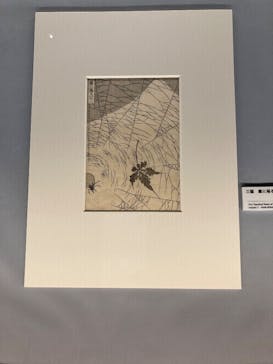HOKUSAI－ぜんぶ、北斎のしわざでした。展に投稿された画像（2025/11/20）