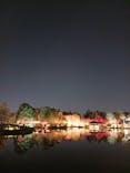 国営昭和記念公園 秋の夜散歩に投稿された画像（2025/11/20）