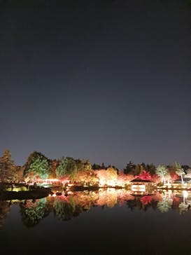 国営昭和記念公園 秋の夜散歩に投稿された画像（2025/11/20）
