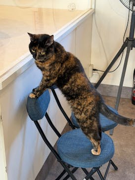 おさるの湯もみ処　おさ湯に投稿された画像（2025/11/20）