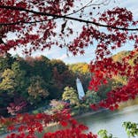 ムーミンバレーパークに投稿された画像（2025/11/20）