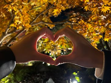 国営昭和記念公園 秋の夜散歩に投稿された画像（2025/11/20）