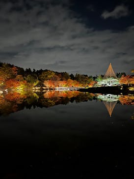 国営昭和記念公園 秋の夜散歩に投稿された画像（2025/11/20）