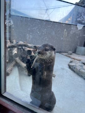 横浜・八景島シーパラダイスに投稿された画像（2025/11/20）