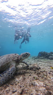 nico 宮古島に投稿された画像（2025/11/20）