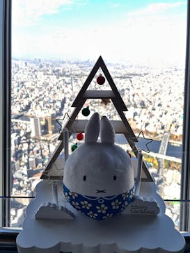 東京スカイツリーに投稿された画像（2025/11/20）