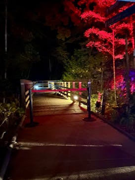 ニジゲンノモリに投稿された画像（2025/11/20）