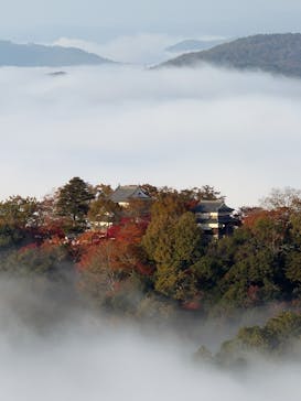 備北タクシー高梁営業所に投稿された画像（2025/11/20）