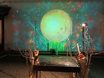 NAKED meets 二条城 2025 観月に投稿された画像（2025/11/20）